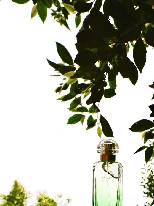 【香水分装--爱马仕花园系列】【满2包邮】一把拥有众多香型  每日都是选妃日常  香气是我构建秩序感的无形边界 商品图5