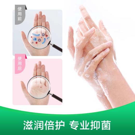 滴露洗手液滋润+倍护450g+450g 商品图4