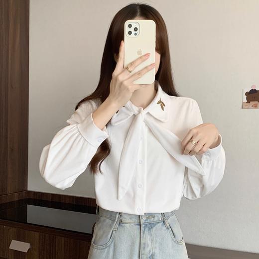 【百搭刺绣系带法式长袖衬衫】秋季新款 设计感胖mm遮肚上衣藏肉 商品图1