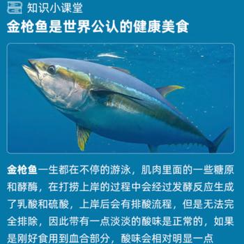 东远金枪鱼罐头零食原味100g*5罐韩国进口油浸三文鱼即食高蛋白鱼肉 /休闲食品 /罐头食品 /水产类罐头 商品图1