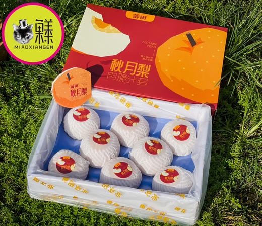 【冰糖秋月梨】礼盒7-9枚入约3.5kg 商品图10