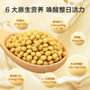 京东京造鲜来多100%纯豆浆粉20g×21条 东北大豆非转基因原味高蛋白早餐 /水饮冲调 /冲饮谷物 /豆浆/豆奶粉 商品缩略图3