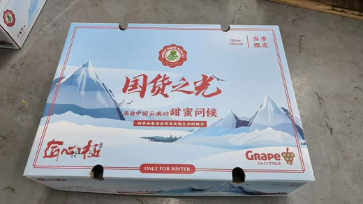 晴王，皮薄甘甜 肉感丰润的晴王葡萄，每年夏天的专宠，超高糖度入口清香，无籽不涩，吃一颗舌尖无尽的享受。 商品图2
