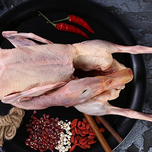 【顺丰包邮】品牌超值福利买1送1，2只到手138，蛋鲜森巢湖麻鸭全期散养，肉嫩味美，肉质紧实老鸭煲汤仔鸭爆炒趁着活动好价多囤几只顺丰京东基地直邮 商品图2