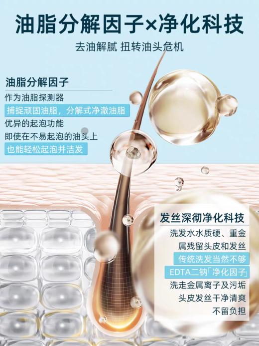 洗发水绿色溪谷海线 盐净油去屑洗发乳700ML 商品图3