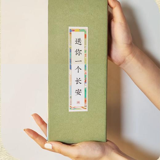 【长安限定地标9景】泾阳茯茶18g 金花黑茶 商品图1