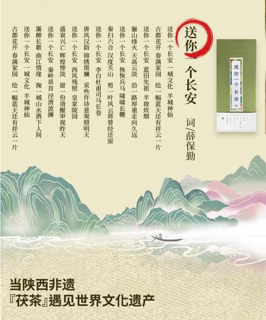 【长安限定地标9景】泾阳茯茶18g 金花黑茶 商品图2