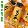 杏氧甘肃敦煌特产杏皮茶植物饮料0脂0添加 310g*10瓶箱装  /水饮冲调 /饮料 /果蔬汁/饮料 商品缩略图0