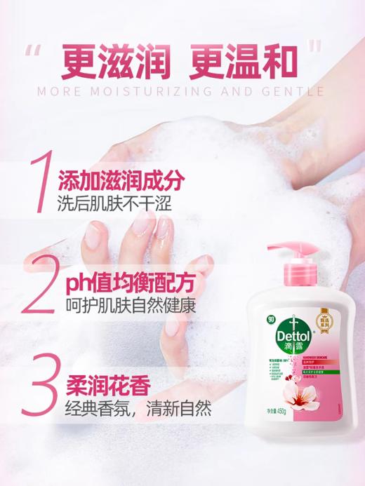 滴露洗手液滋润+倍护450g+450g 商品图1