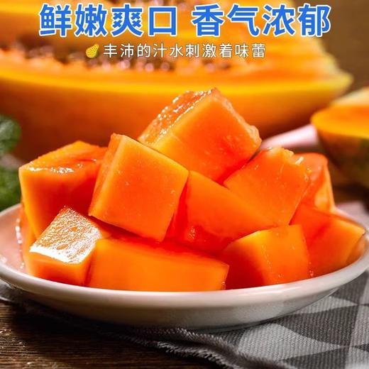 广西红心木瓜【29元5斤】丨冰糖般甜蜜 软滑多汁 商品图1