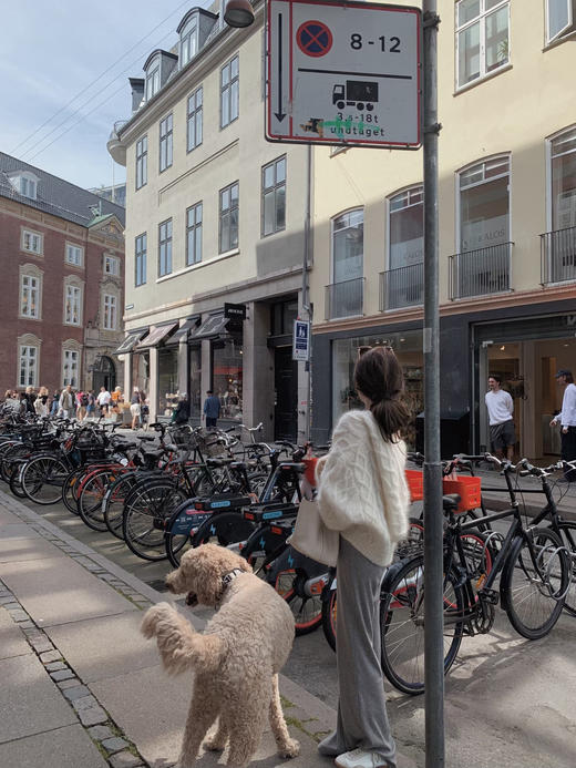 金蘑菇菇 Le jour你的女友 娇柔感大毛衣 / 进口幼马海毛30羊毛 商品图6