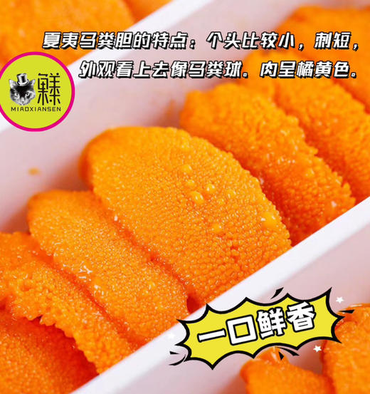 【次日达】胆大包鲜（马粪海胆肉）每天现加工现发，赏味期一个月 商品图13
