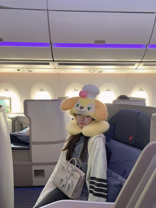 金蘑菇菇 阿尔伯特博物馆 tb玫瑰系列 / 秋冬松弛少女感 商品图0