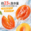 【满299减210】百草味红杏不干80g 商品缩略图4
