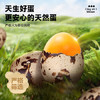 比比赞（BIBIZAN）鹌鹑蛋混合味600g卤蛋铁蛋零食小吃熟食休闲解馋零食大礼包送礼 /休闲食品 /蛋类制品 /鹌鹑蛋类 商品缩略图1
