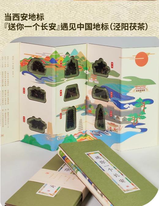 【长安限定地标9景】泾阳茯茶18g 金花黑茶 商品图3