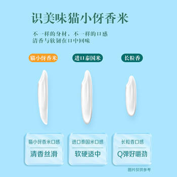 金龙鱼 臻选猫牙香丝米 10斤 猫牙米 丝苗米 长粒大米 /粮油调味 /米 /丝苗米 商品图2