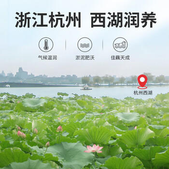 丙田 有机纯藕粉300g 正宗老牌子无添加蔗糖莲藕粉儿童孕产妇术后洪湖 /水饮冲调 /冲饮谷物 /果蔬粉 商品图2