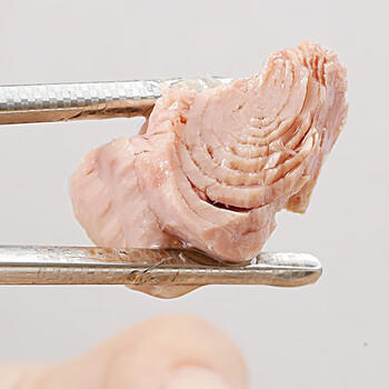 东远金枪鱼罐头零食原味100g*5罐韩国进口油浸三文鱼即食高蛋白鱼肉 /休闲食品 /罐头食品 /水产类罐头 商品图2