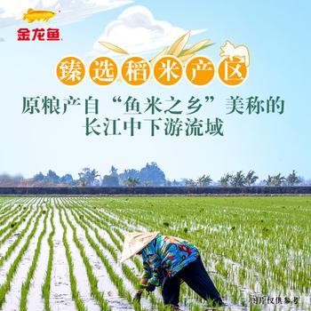 金龙鱼 臻选猫牙香丝米 10斤 猫牙米 丝苗米 长粒大米 /粮油调味 /米 /丝苗米 商品图0