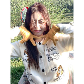 <曾小咸推荐>韩系童趣小狗狗绣花排扣毛衣