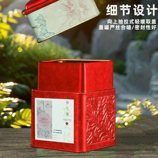 春天里双套装【红.半斤装】11元1套.整箱45套 商品图2