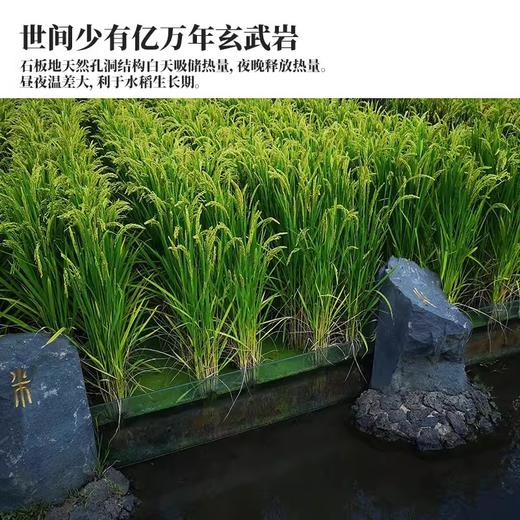 萌谷粒响水大米 火山石板田大米/东北米 十月晚稻 淡香甘甜 2.5kg/袋 商品图3