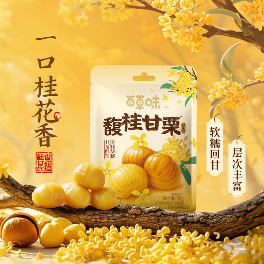 【满299减210】百草味桂花板栗仁36g 商品图1