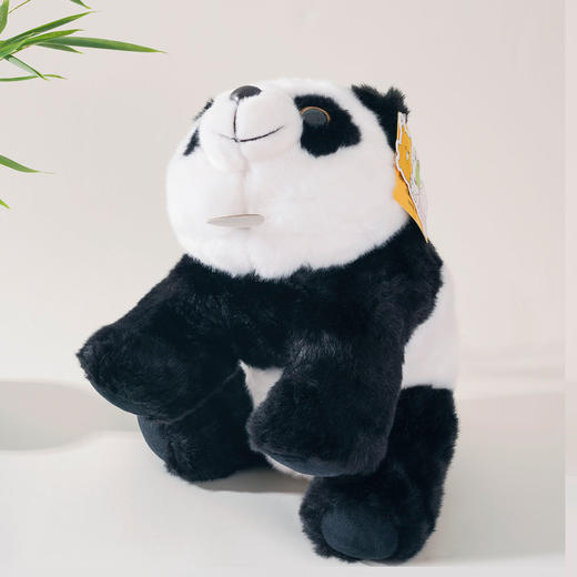 【成都大熊猫糕点主题馆】站姿熊猫 商品图1