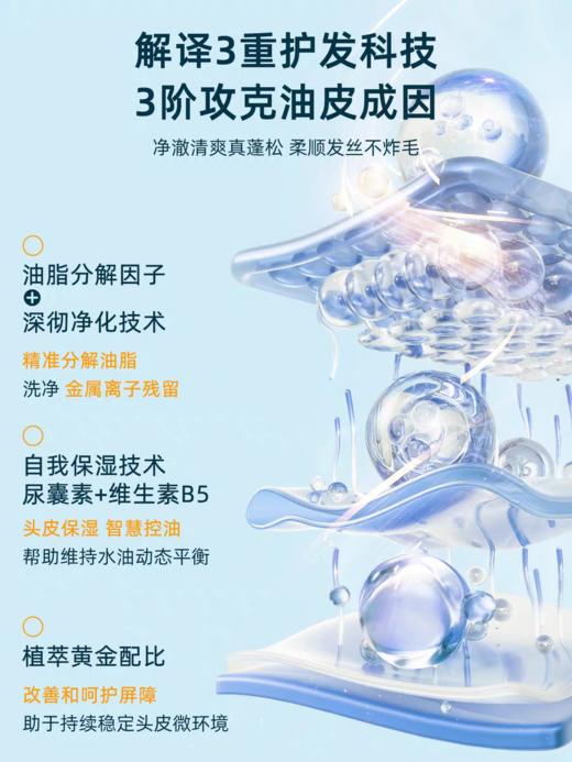 洗发水绿色溪谷海线 盐净油去屑洗发乳700ML 商品图1