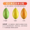 广西红心木瓜【29元5斤】丨冰糖般甜蜜 软滑多汁 商品缩略图3