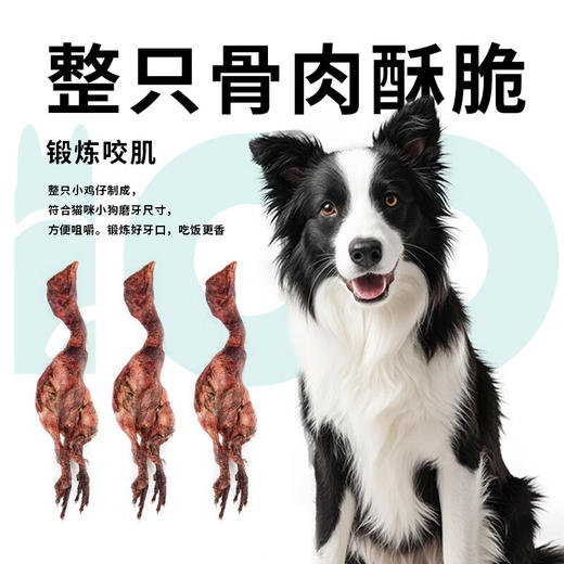 【倍鲜法则】冻干小鸡仔70g 商品图2