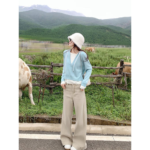 <曾小咸推荐>3.24现货秒杀 ！微信超特价！连帽假两件针织衫 日常169.99 立减80 秒杀89.99！！ 商品图4