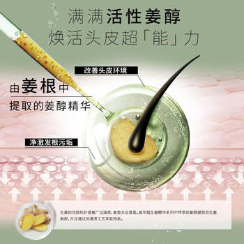 施华蔻洗发水 生姜精华修护头皮净澈洗发露600ml 去油止痒 蓬松发根 /个人护理 /洗发护发 /洗发水 商品图3