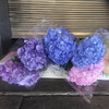 绣球.紫色 商品缩略图0