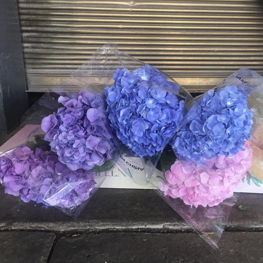 绣球.紫色 商品图0