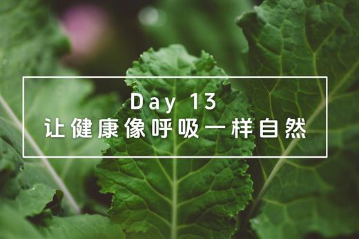 Day 13：让健康像呼吸一样自然 商品图0