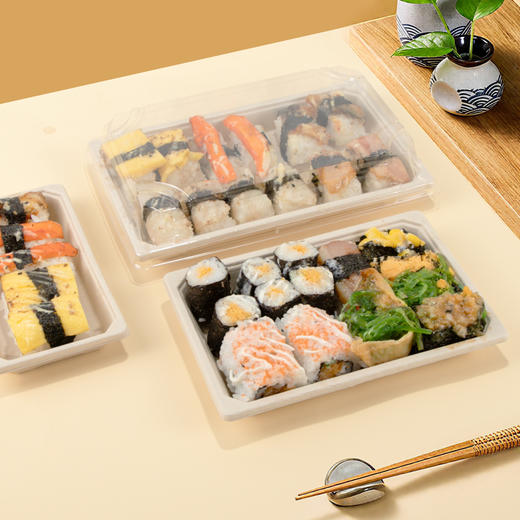 喇叭花本色一次性纸浆寿司打包盒料理盒外卖包装盒烧烤盘蛋糕盒 商品图3