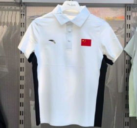 安踏儿童2025夏季男大童综训短袖POLO衫透爽云柔速干T恤T52527106