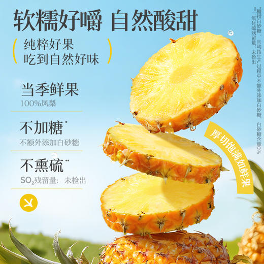 【满299减210】百草味一个水果凤梨干50g 商品图2