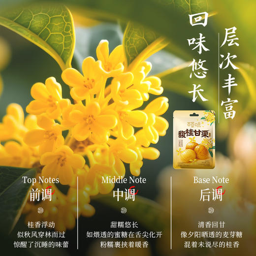 【满299减210】百草味桂花板栗仁36g 商品图3