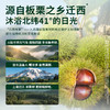 【满299减210】百草味迁西板栗仁40g 商品缩略图3
