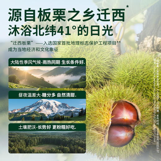 【满299减210】百草味迁西板栗仁40g 商品图3