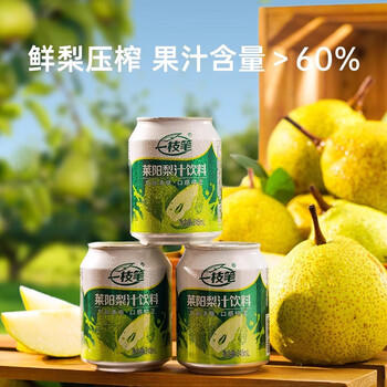 一枝笔莱阳梨汁245ml*20罐 果汁饮料礼盒装批发一支笔山东莱阳梨饮料 /水饮冲调 /饮料 /果蔬汁/饮料 商品图5