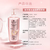 施华蔻丰盈韧养洗发露600ml 控油清爽丰盈洗发水 /个人护理 /洗发护发 /洗发水 商品缩略图0
