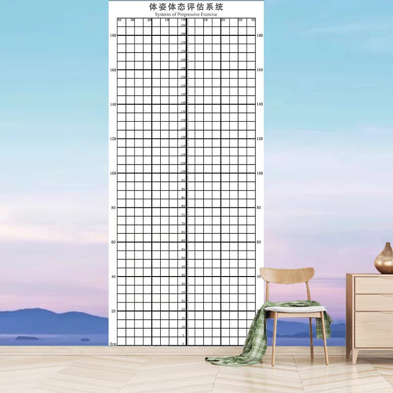 【换购】体资体态系统评估态表 特价 不退不换 介意者勿拍