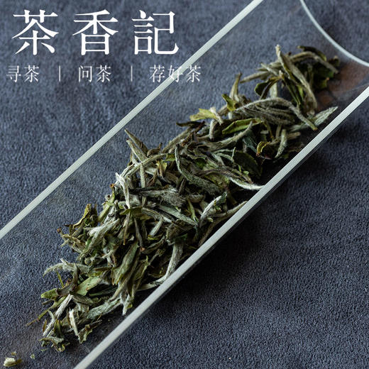 茶香记九龙白牡丹025高山老树茶青鲜爽底子传统工艺好喝耐泡 商品图2