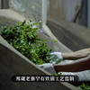 【邦崴老寨】【整提购】2022年临沧茶区头春古树推广冲量补贴出售357克/饼*5 商品缩略图6