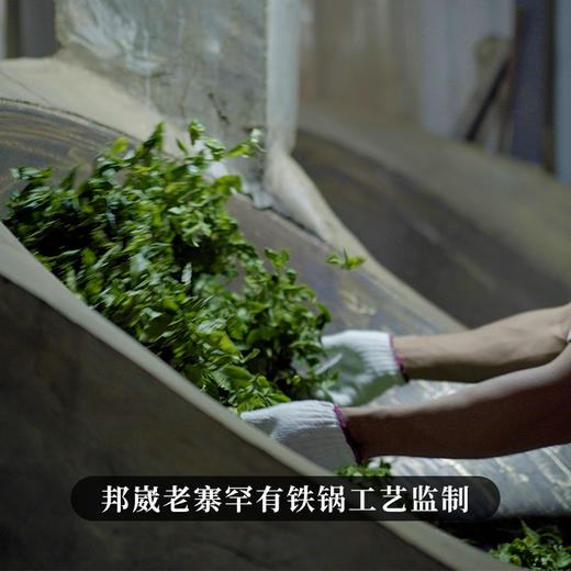 【邦崴老寨】【整提购】2022年临沧茶区头春古树推广冲量补贴出售357克/饼*5 商品图6