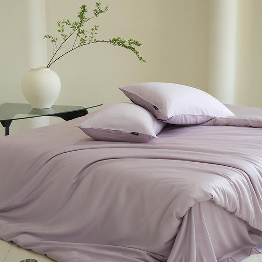 【清仓129元起】夏季50支双股100%莱赛尔天丝四件套【礼盒发货】【不支持退换】 商品图1